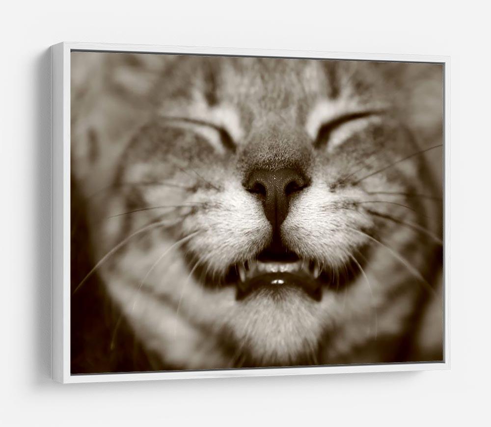 A smiling kitten HD Metal Print - Canvas Art Rocks - 7