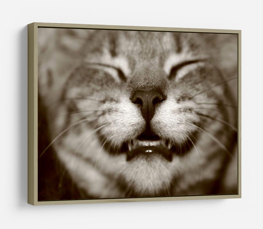 A smiling kitten HD Metal Print - Canvas Art Rocks - 8