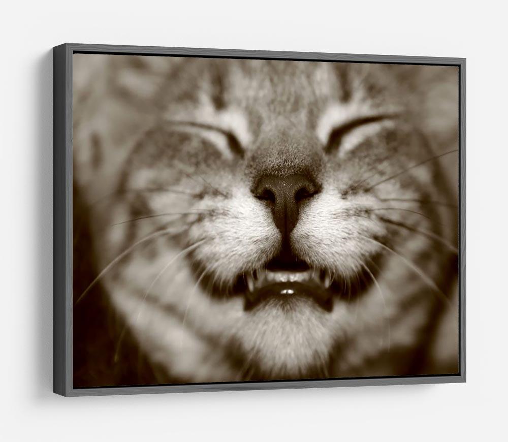 A smiling kitten HD Metal Print - Canvas Art Rocks - 9