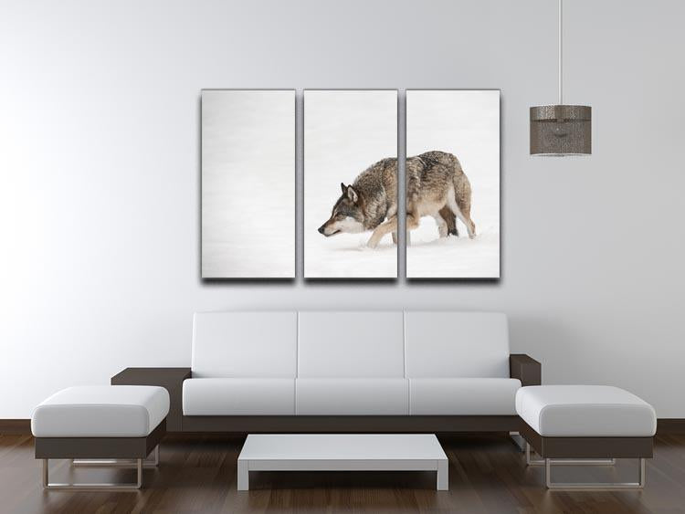 A solitary lone wolf prowls through snow 3 Split Panel Canvas Print - Canvas Art Rocks - 3
