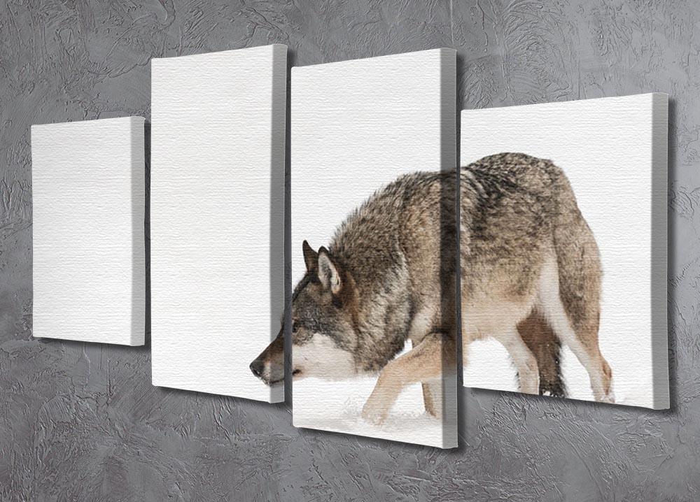 A solitary lone wolf prowls through snow 4 Split Panel Canvas - Canvas Art Rocks - 2