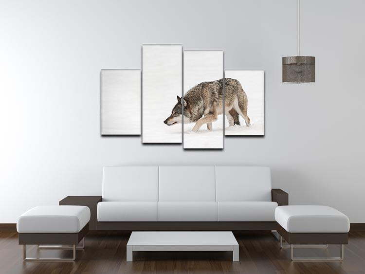 A solitary lone wolf prowls through snow 4 Split Panel Canvas - Canvas Art Rocks - 3