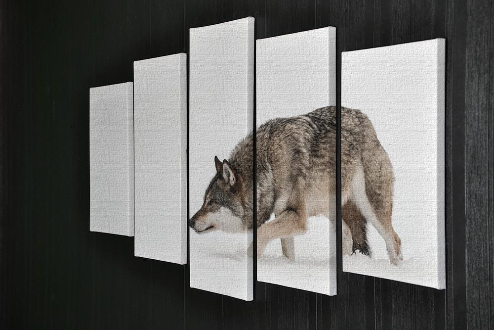 A solitary lone wolf prowls through snow 5 Split Panel Canvas - Canvas Art Rocks - 2