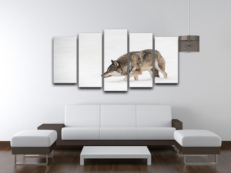 A solitary lone wolf prowls through snow 5 Split Panel Canvas - Canvas Art Rocks - 3