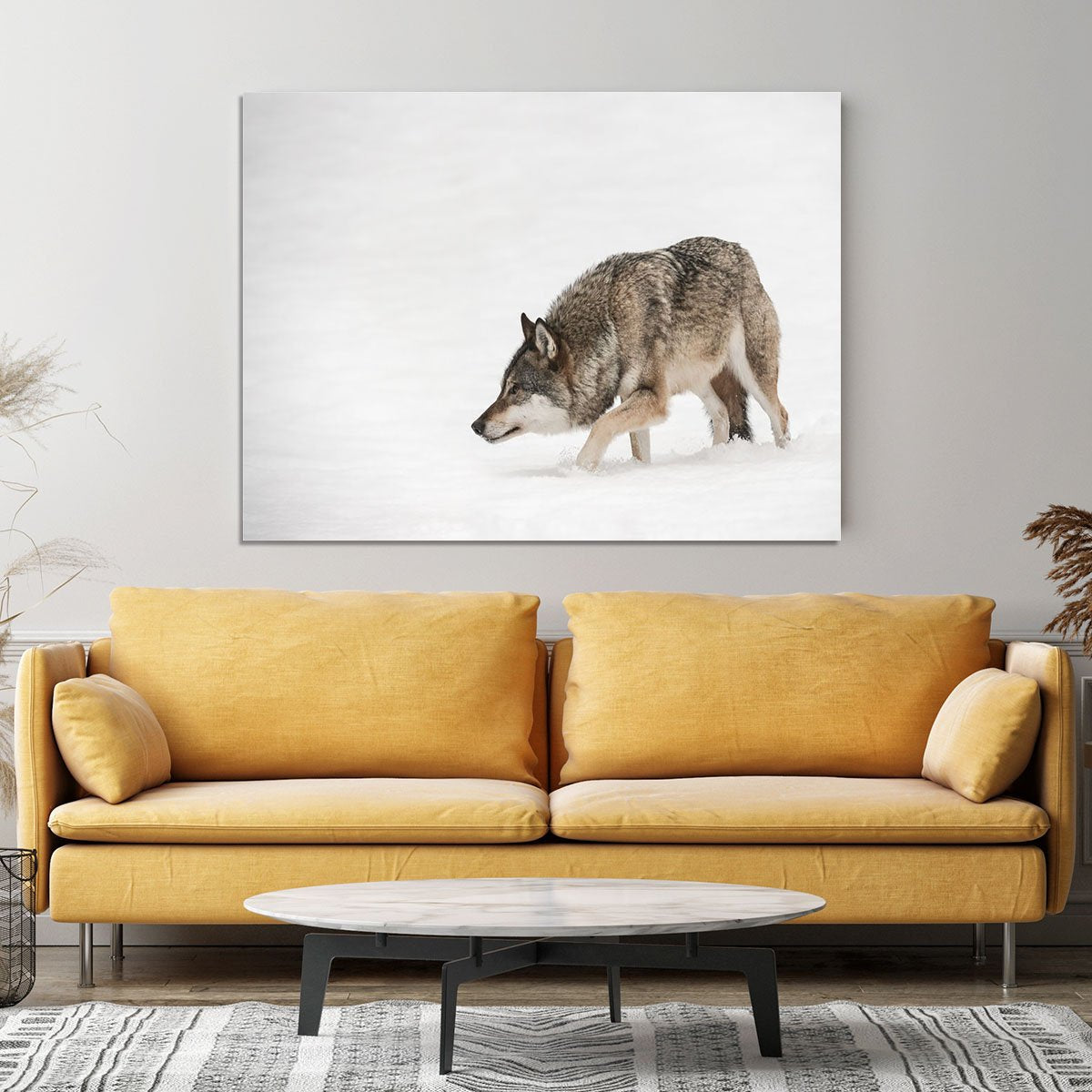 A solitary lone wolf prowls through snow Canvas Print or Poster