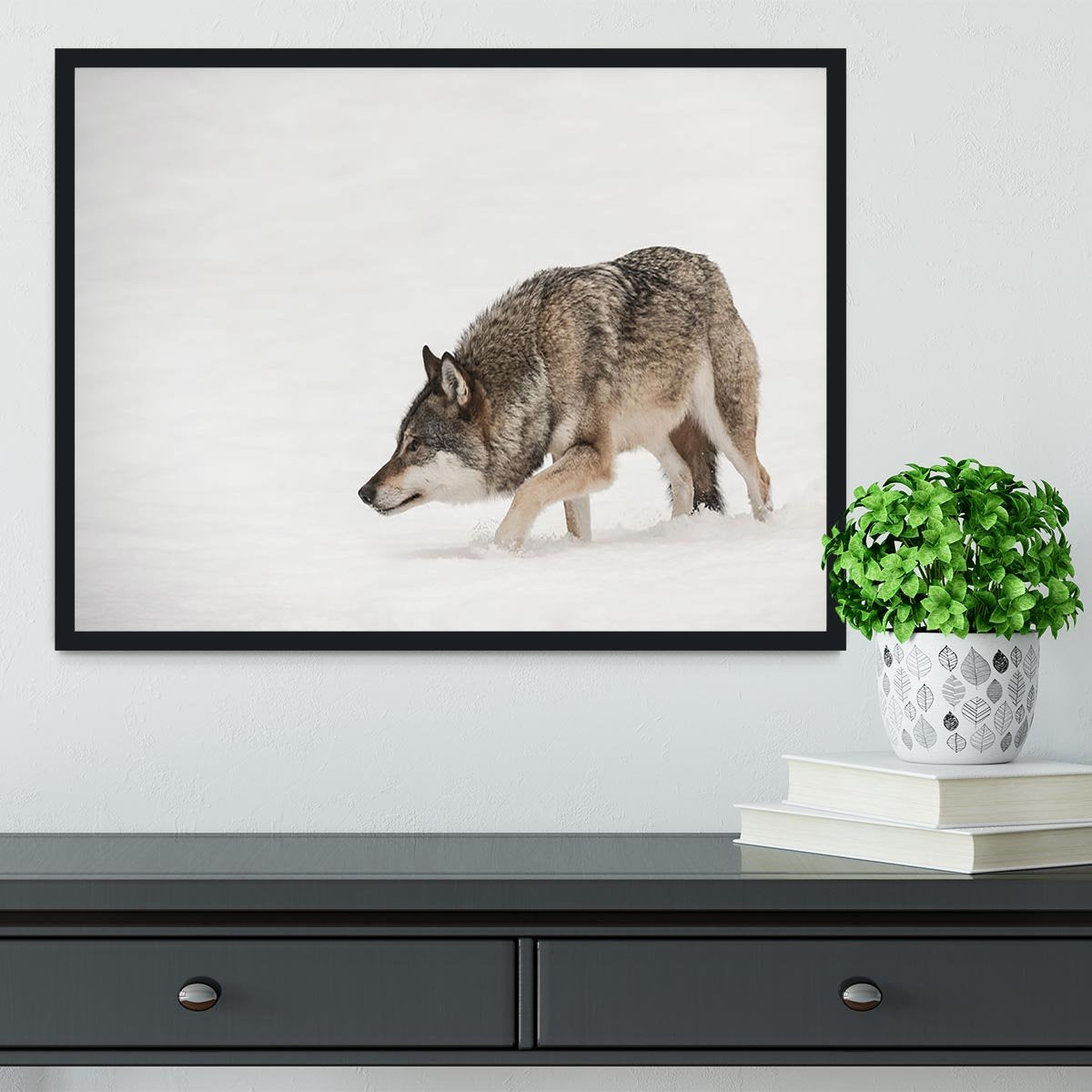 A solitary lone wolf prowls through snow Framed Print - Canvas Art Rocks - 2