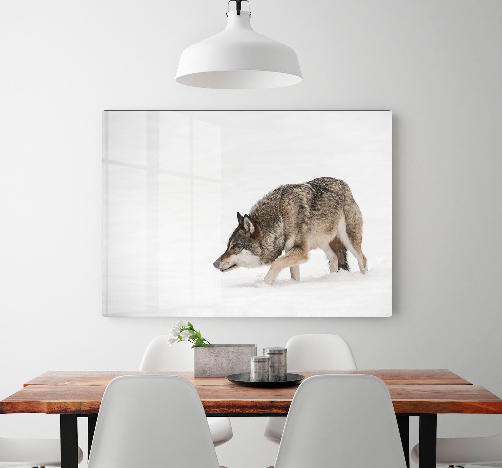 A solitary lone wolf prowls through snow HD Metal Print - Canvas Art Rocks - 2