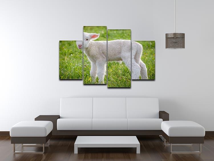 A white suffolk lamb 4 Split Panel Canvas - Canvas Art Rocks - 3