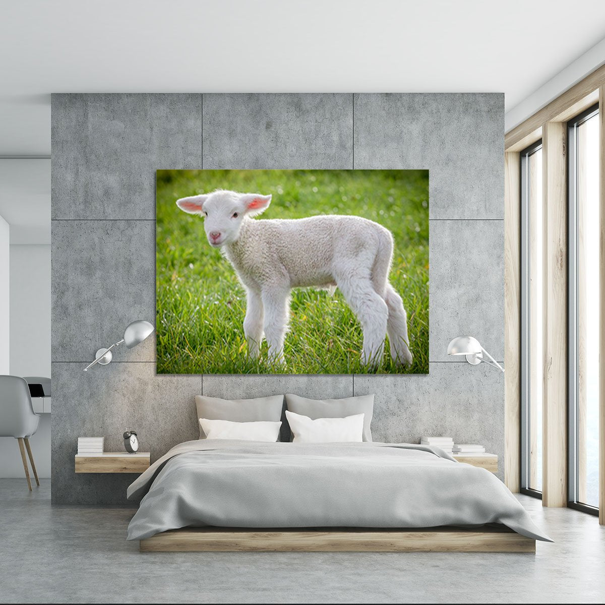 A white suffolk lamb Canvas Print or Poster