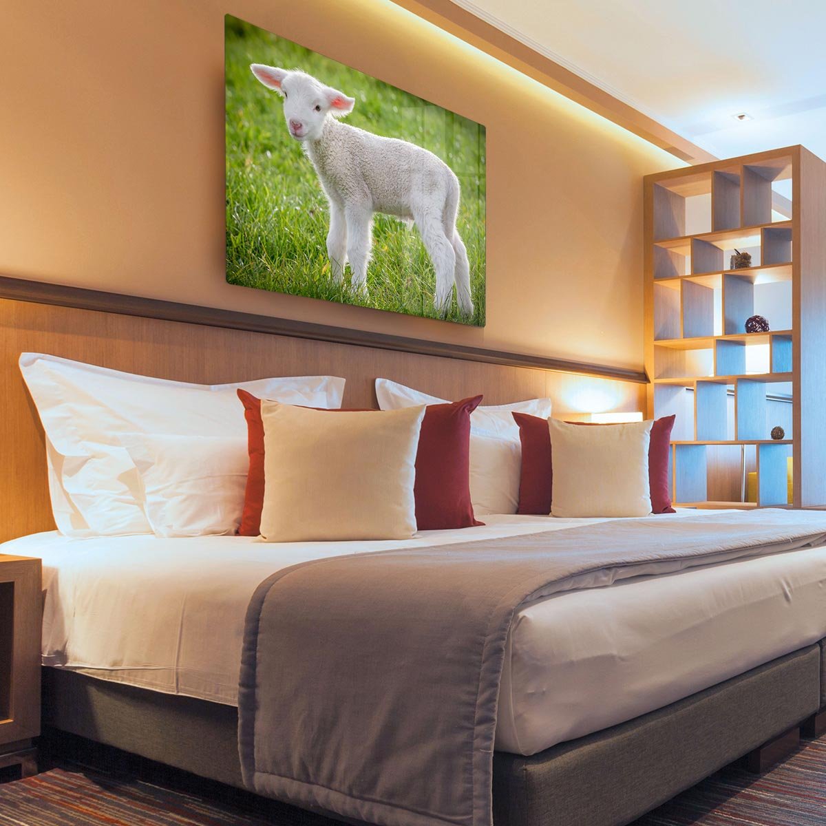 A white suffolk lamb HD Metal Print - Canvas Art Rocks - 3
