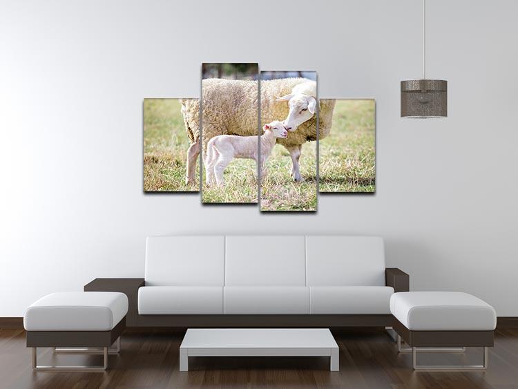 A white suffolk sheep with a lamb 4 Split Panel Canvas - Canvas Art Rocks - 3