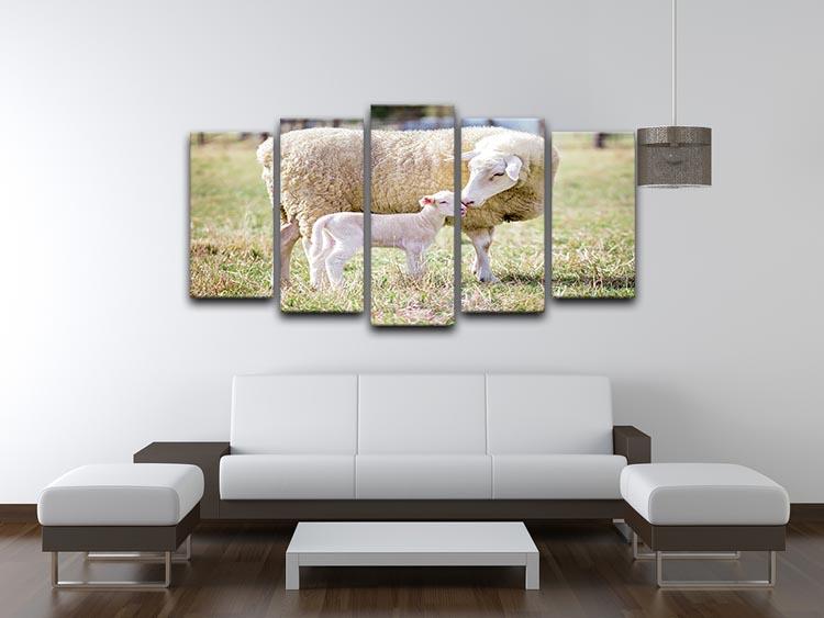 A white suffolk sheep with a lamb 5 Split Panel Canvas - Canvas Art Rocks - 3