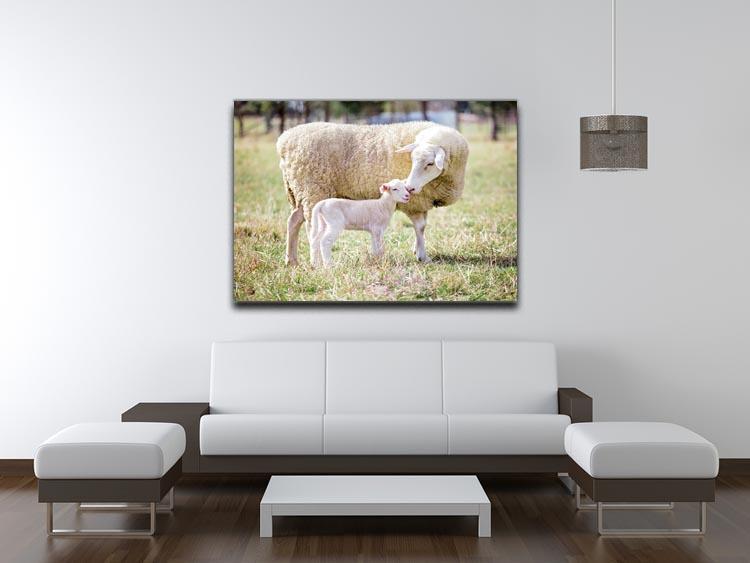 A white suffolk sheep with a lamb Canvas Print or Poster - Canvas Art Rocks - 4