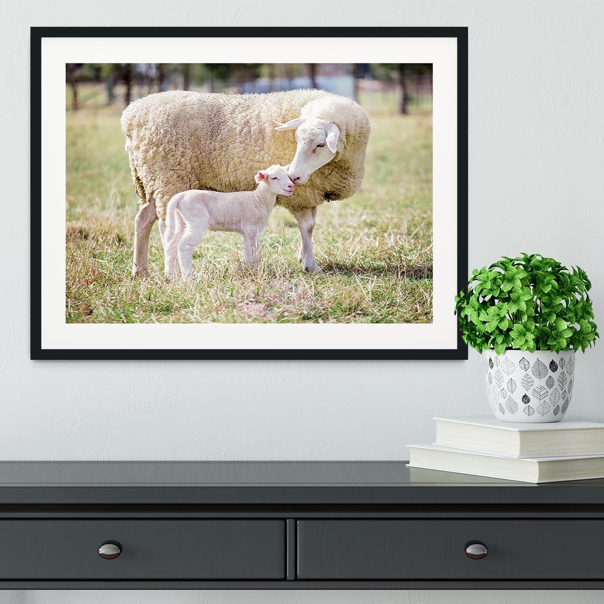 A white suffolk sheep with a lamb Framed Print - Canvas Art Rocks - 1