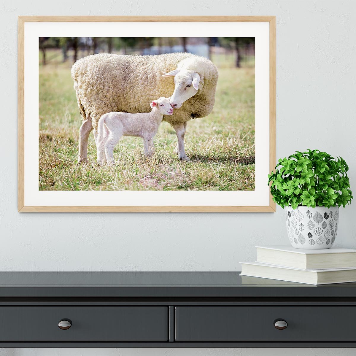 A white suffolk sheep with a lamb Framed Print - Canvas Art Rocks - 3