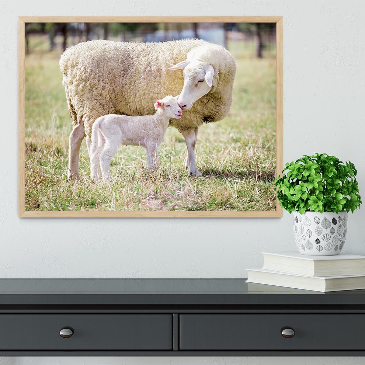 A white suffolk sheep with a lamb Framed Print - Canvas Art Rocks - 4