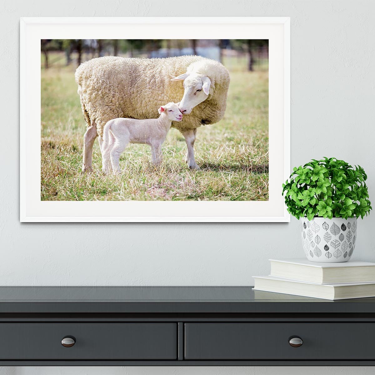 A white suffolk sheep with a lamb Framed Print - Canvas Art Rocks - 5