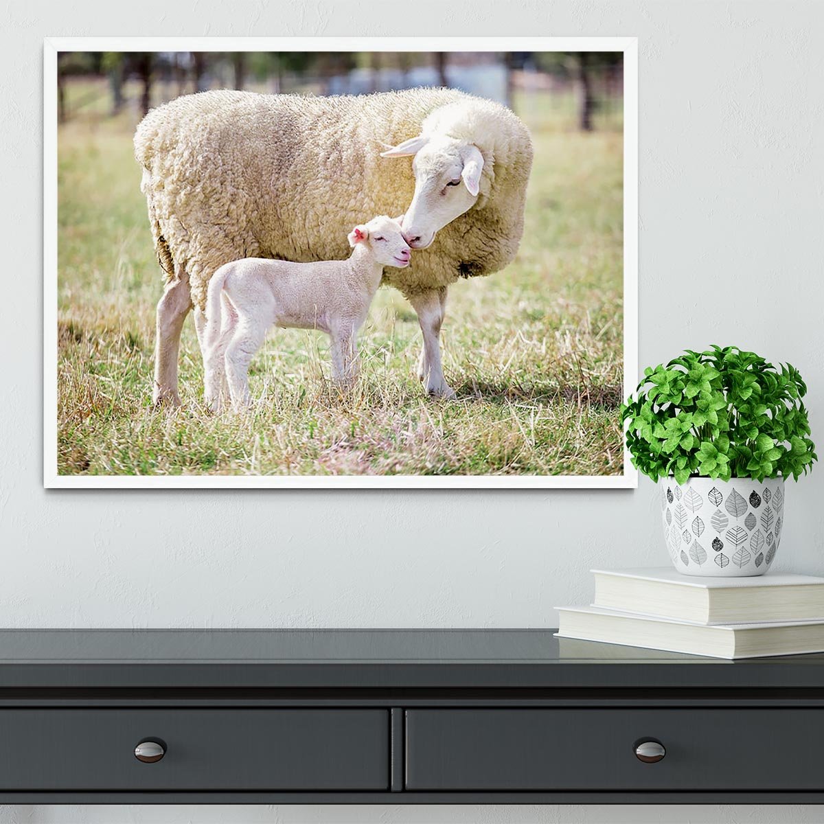 A white suffolk sheep with a lamb Framed Print - Canvas Art Rocks -6