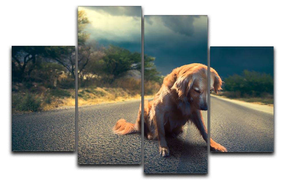 Abandoned dog in the middle of the road 4 Split Panel Canvas - Canvas Art Rocks - 1