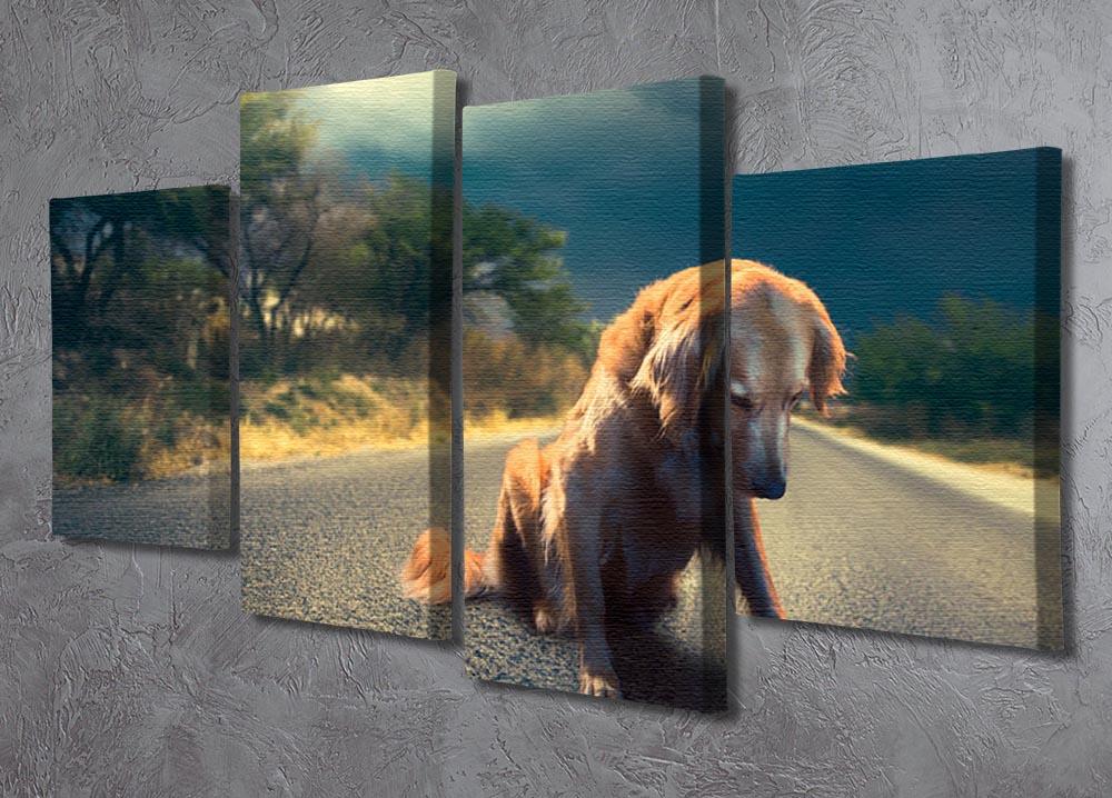 Abandoned dog in the middle of the road 4 Split Panel Canvas - Canvas Art Rocks - 2