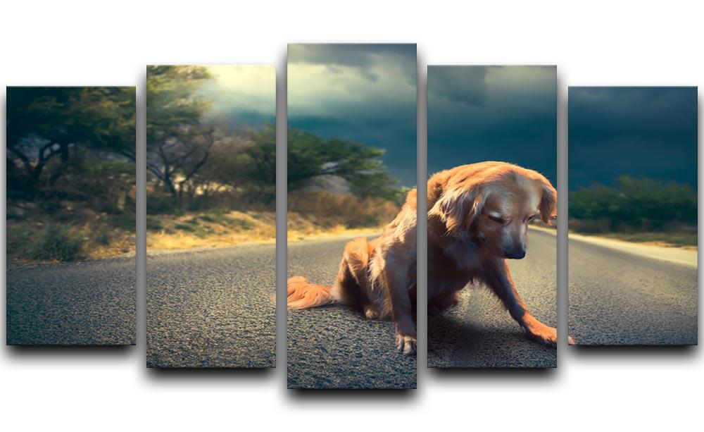 Abandoned dog in the middle of the road 5 Split Panel Canvas - Canvas Art Rocks - 1