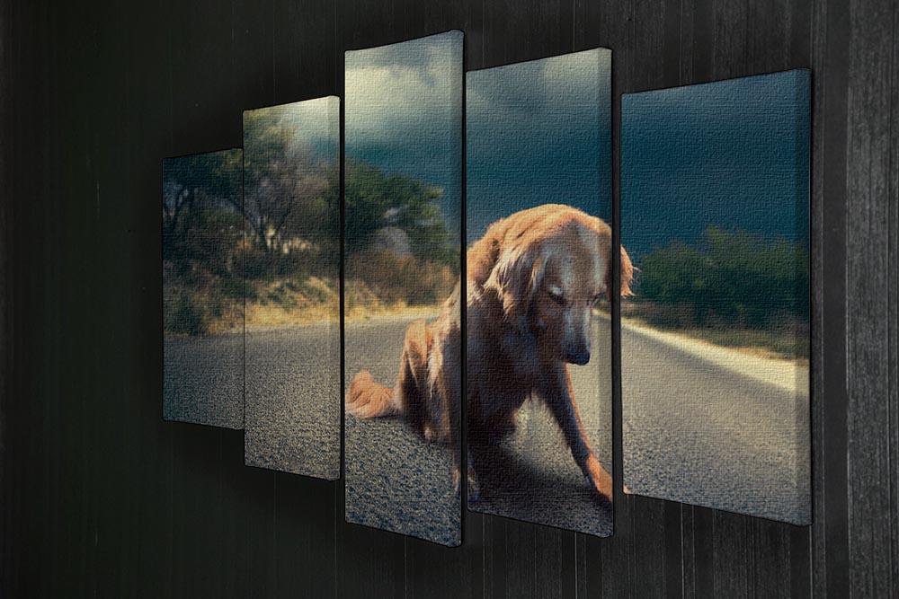 Abandoned dog in the middle of the road 5 Split Panel Canvas - Canvas Art Rocks - 2
