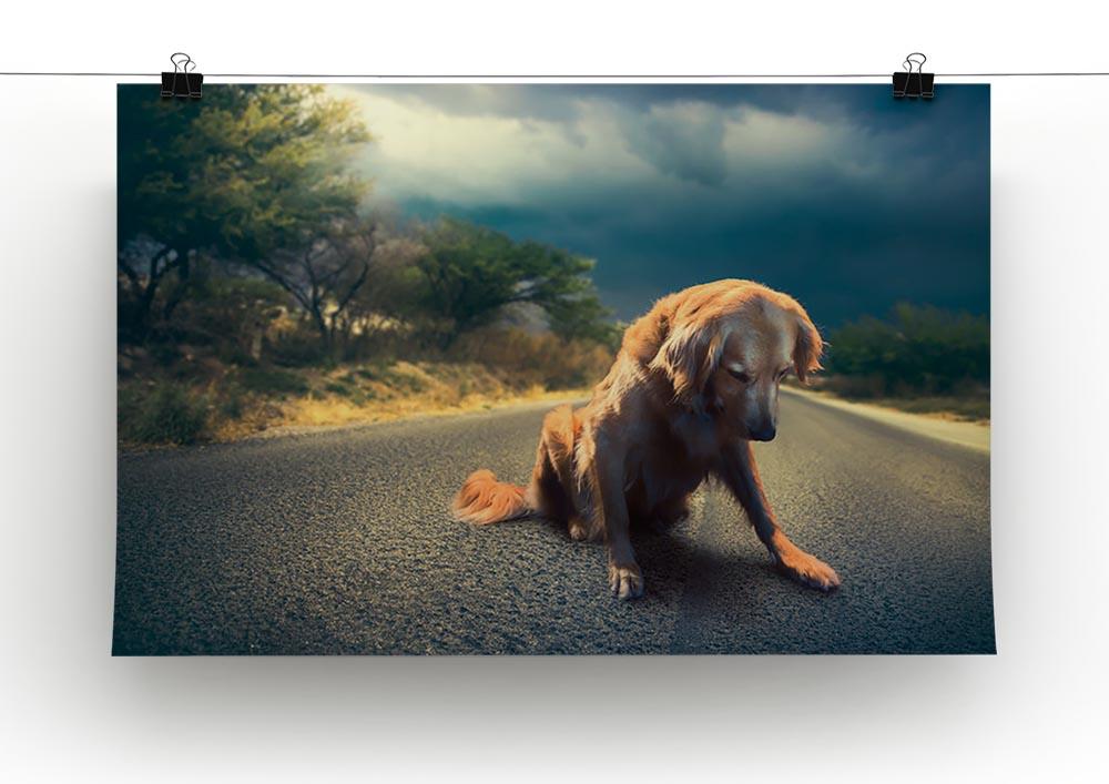 Abandoned dog in the middle of the road Canvas Print or Poster - Canvas Art Rocks - 2