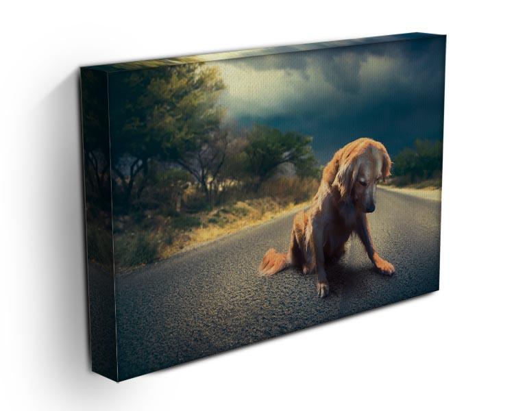 Abandoned dog in the middle of the road Canvas Print or Poster - Canvas Art Rocks - 3