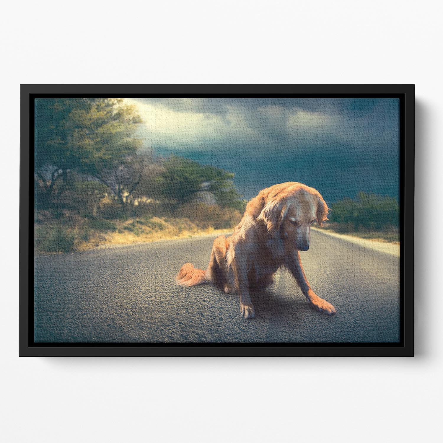 Abandoned dog in the middle of the road Floating Framed Canvas - Canvas Art Rocks - 2