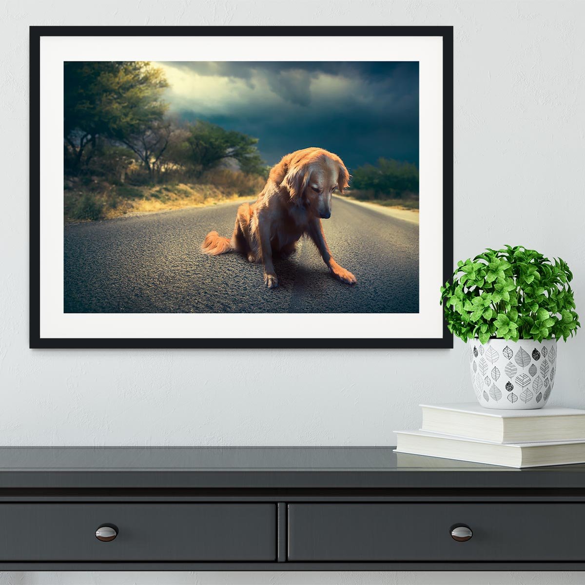Abandoned dog in the middle of the road Framed Print - Canvas Art Rocks - 1