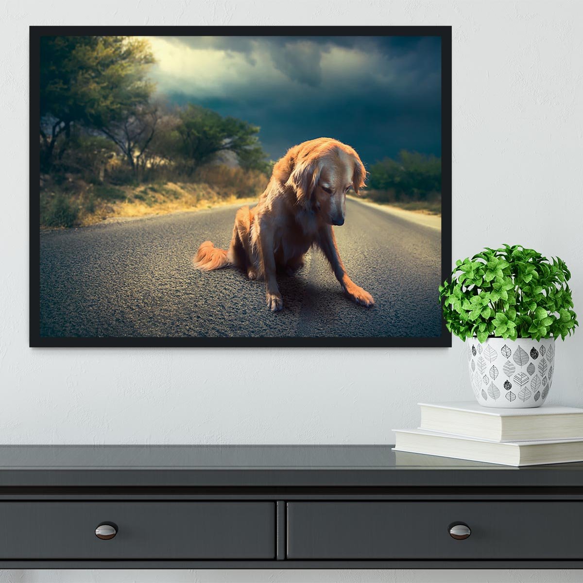 Abandoned dog in the middle of the road Framed Print - Canvas Art Rocks - 2