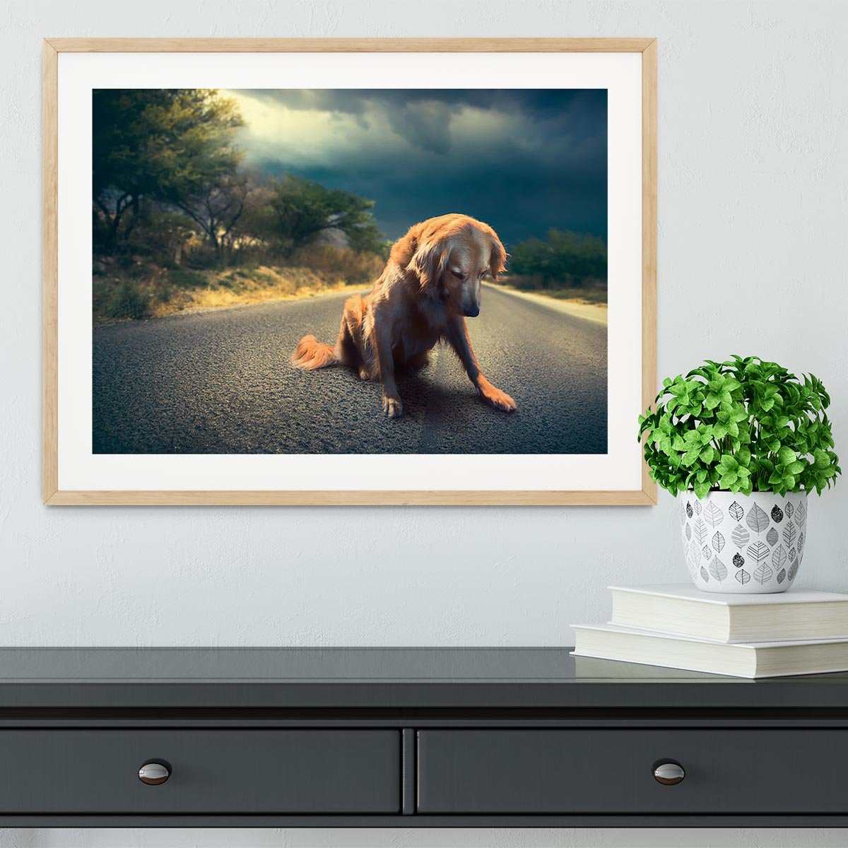 Abandoned dog in the middle of the road Framed Print - Canvas Art Rocks - 3