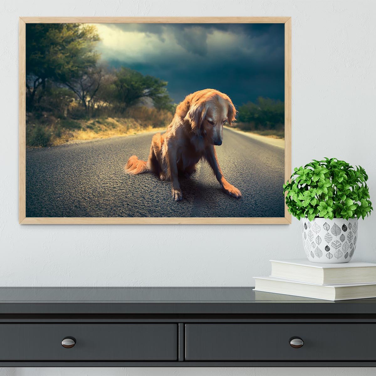 Abandoned dog in the middle of the road Framed Print - Canvas Art Rocks - 4