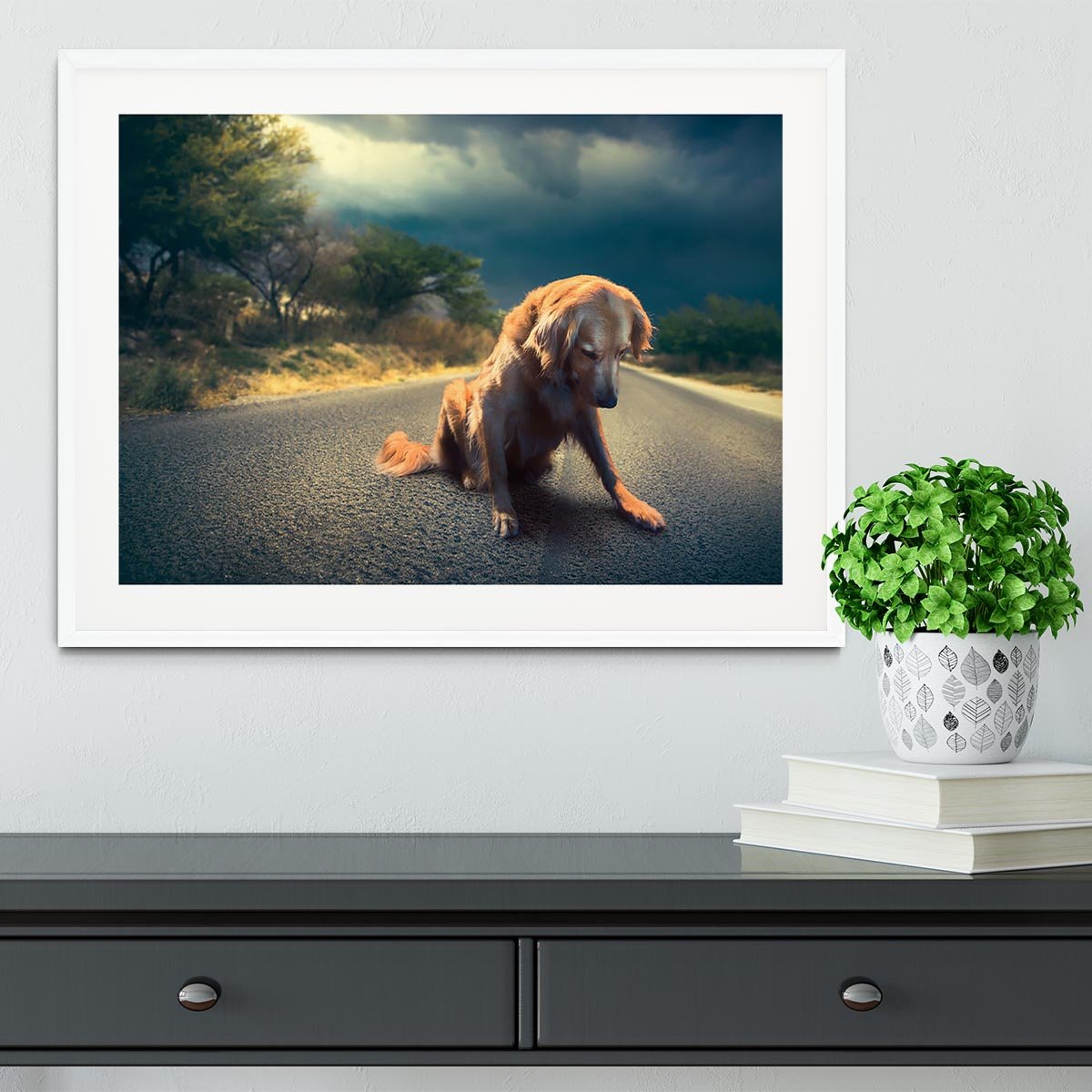 Abandoned dog in the middle of the road Framed Print - Canvas Art Rocks - 5