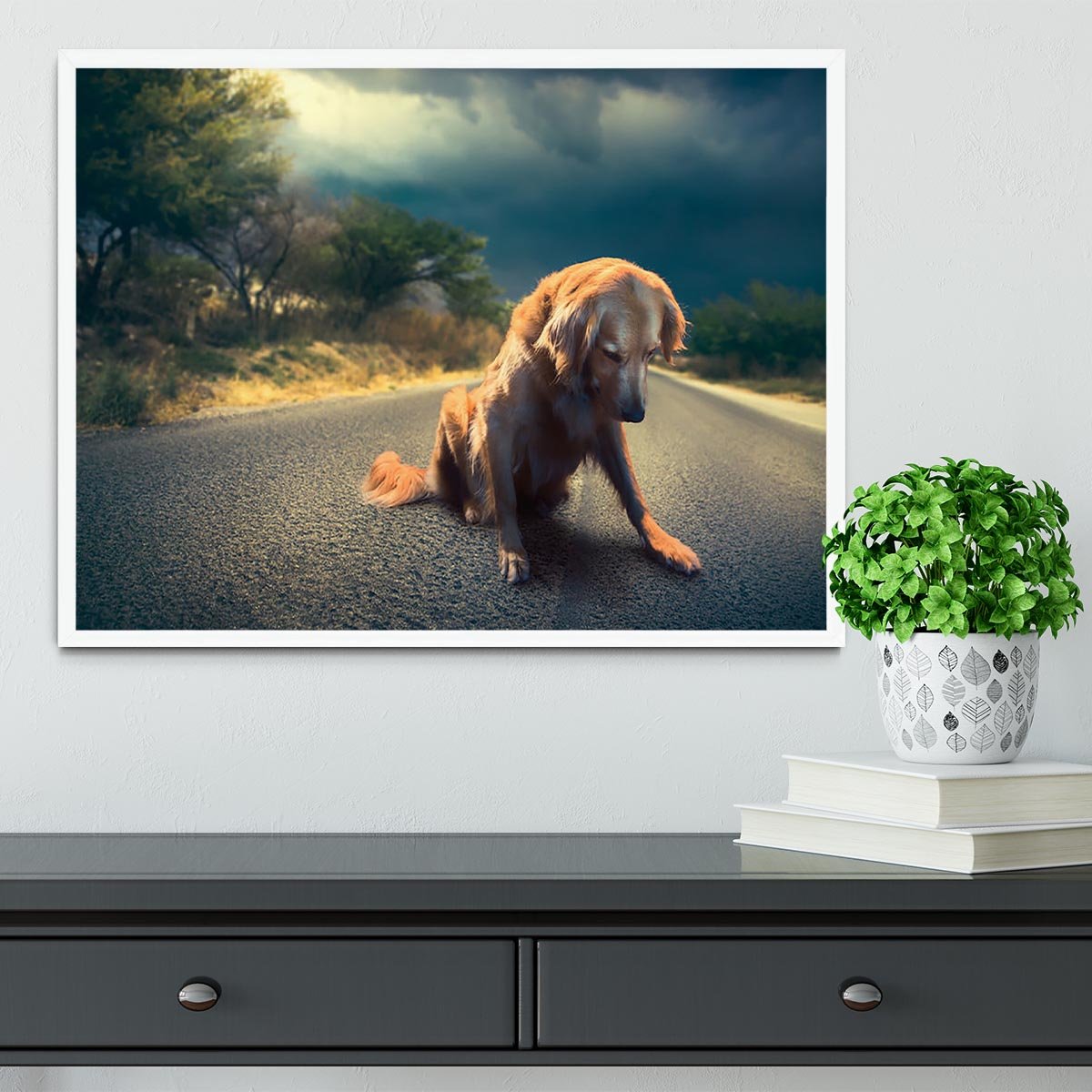 Abandoned dog in the middle of the road Framed Print - Canvas Art Rocks -6