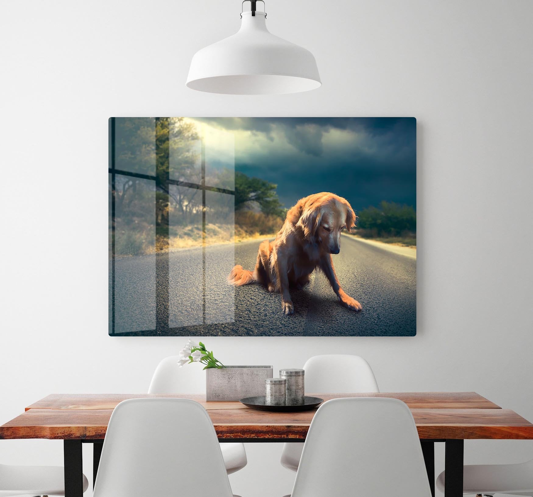 Abandoned dog in the middle of the road HD Metal Print - Canvas Art Rocks - 2