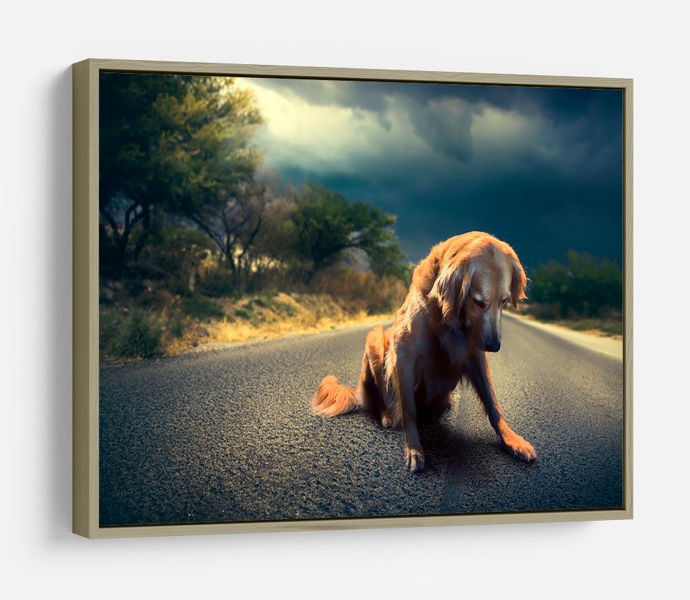 Abandoned dog in the middle of the road HD Metal Print - Canvas Art Rocks - 8