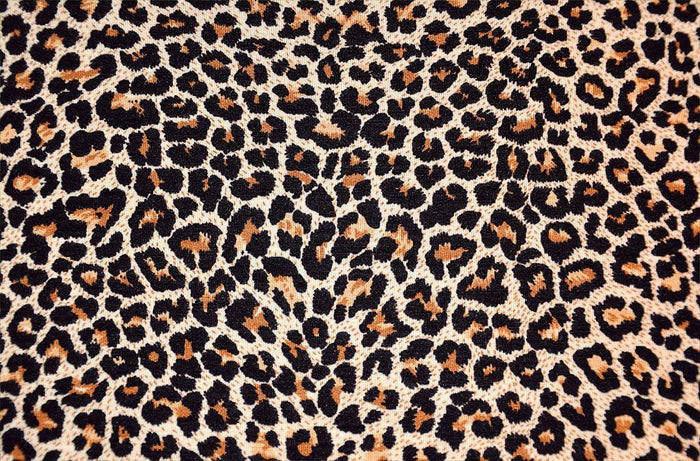 Abstract texture of leopard Wall Mural Wallpaper