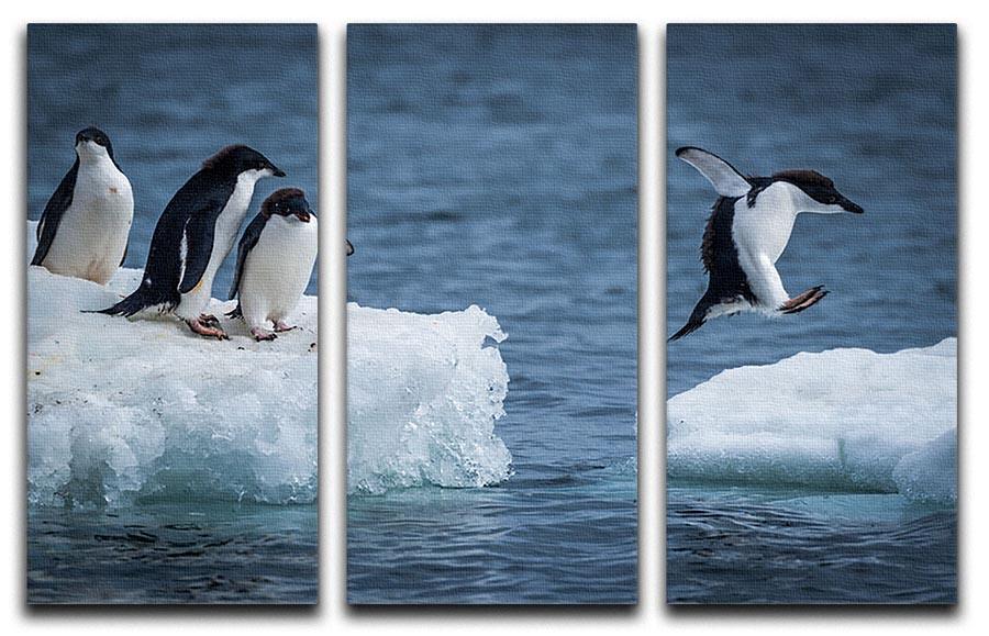 Adelie penguin jumping between two ice floes 3 Split Panel Canvas Print - Canvas Art Rocks - 1