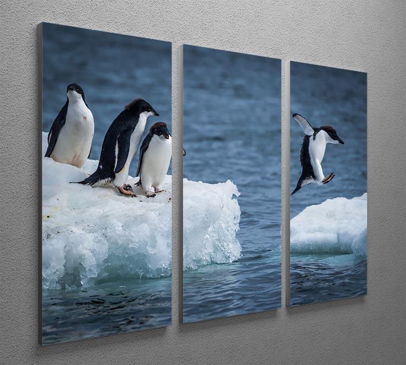 Adelie penguin jumping between two ice floes 3 Split Panel Canvas Print - Canvas Art Rocks - 2