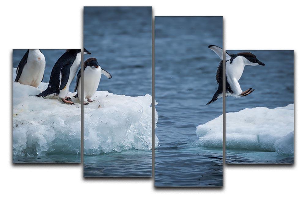 Adelie penguin jumping between two ice floes 4 Split Panel Canvas - Canvas Art Rocks - 1