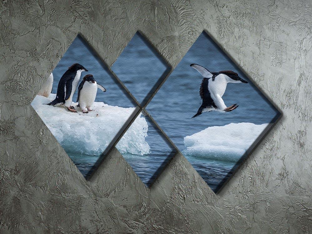 Adelie penguin jumping between two ice floes 4 Square Multi Panel Canvas - Canvas Art Rocks - 2