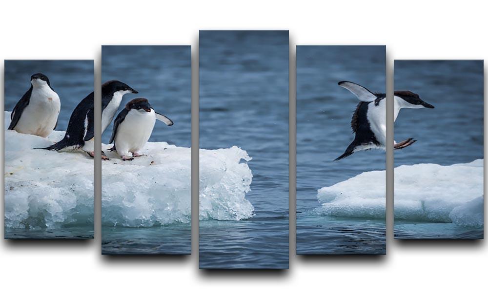 Adelie penguin jumping between two ice floes 5 Split Panel Canvas - Canvas Art Rocks - 1