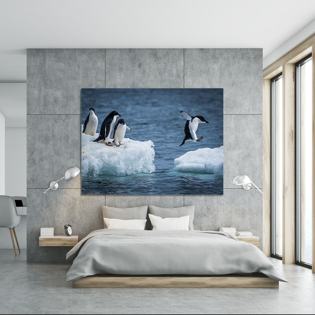 Adelie penguin jumping between two ice floes Canvas Print or Poster