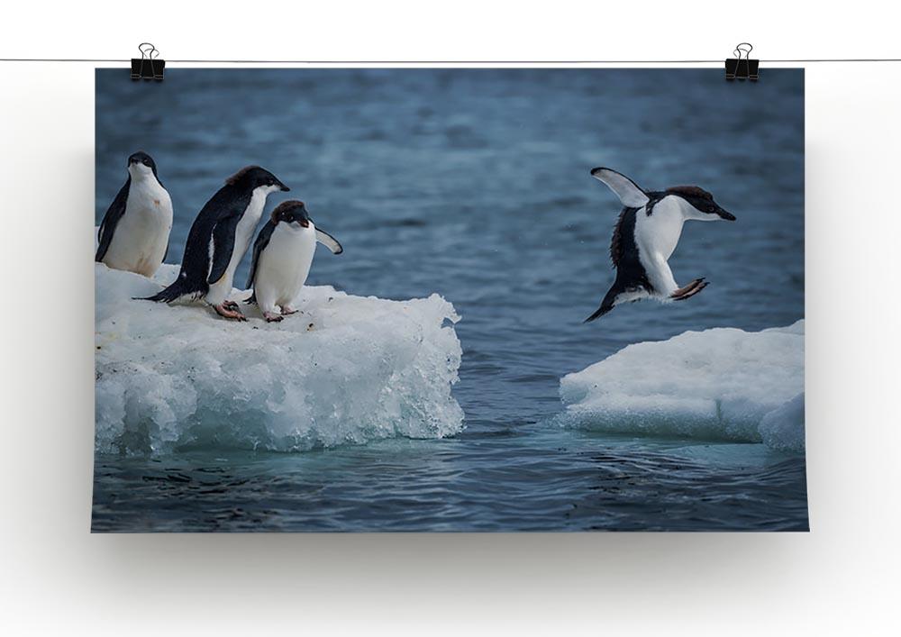 Adelie penguin jumping between two ice floes Canvas Print or Poster - Canvas Art Rocks - 2