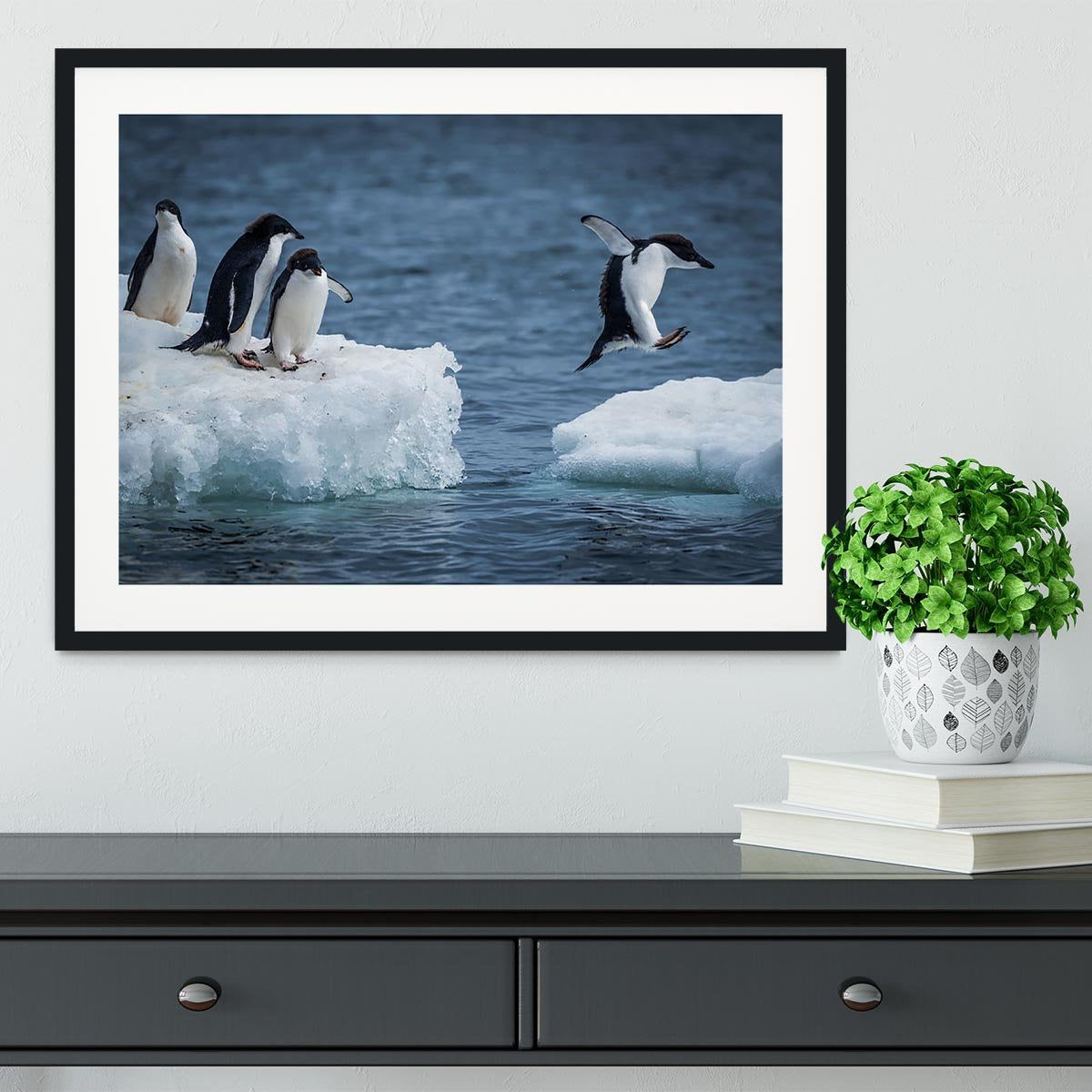 Adelie penguin jumping between two ice floes Framed Print - Canvas Art Rocks - 1