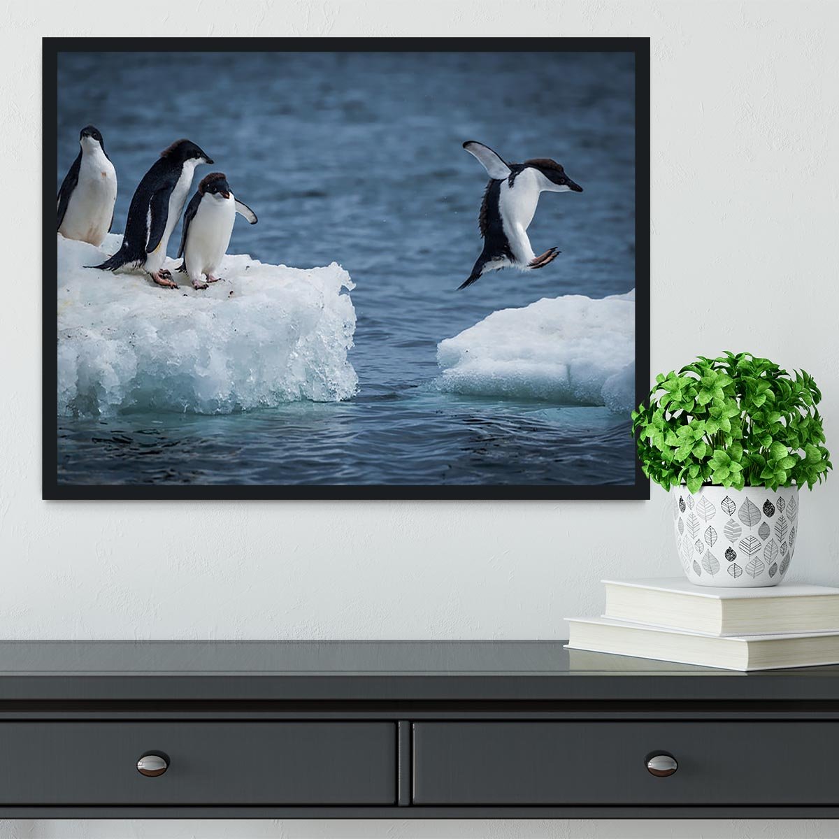 Adelie penguin jumping between two ice floes Framed Print - Canvas Art Rocks - 2