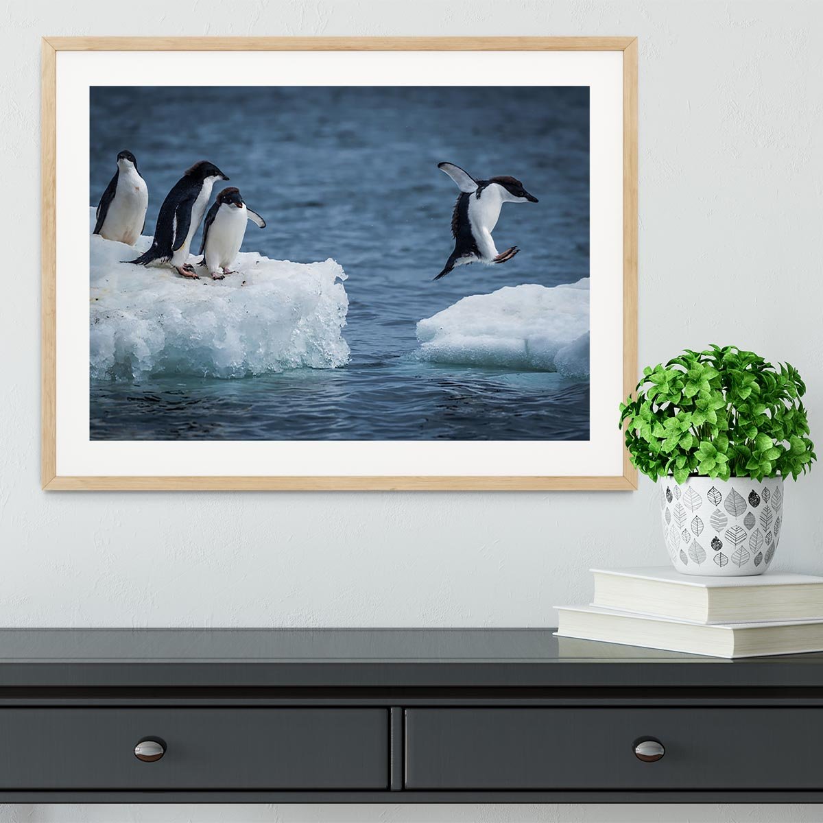 Adelie penguin jumping between two ice floes Framed Print - Canvas Art Rocks - 3