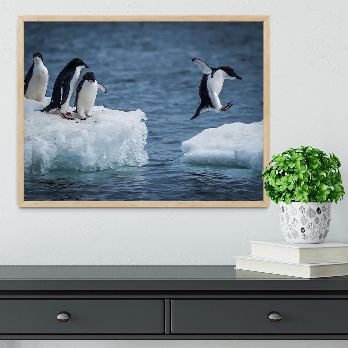 Adelie penguin jumping between two ice floes Framed Print - Canvas Art Rocks - 4