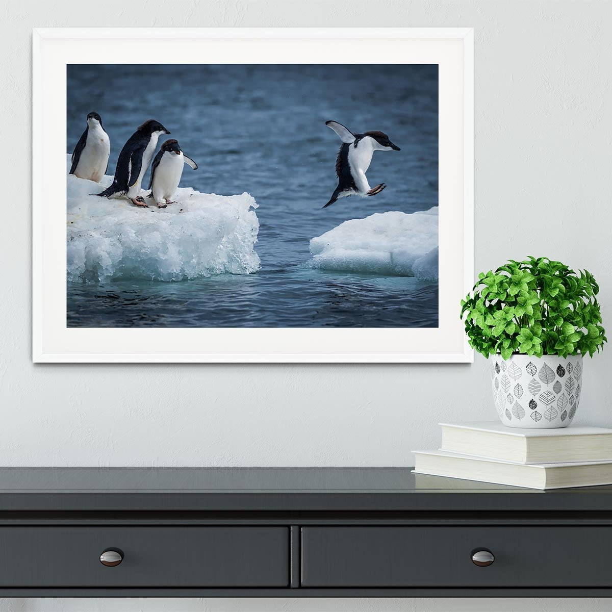 Adelie penguin jumping between two ice floes Framed Print - Canvas Art Rocks - 5